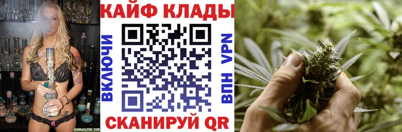 Виды наркотиков купить Андреаполь COCAIN  APVP  Гашиш  Псилоцибиновые грибы  Мефедрон 