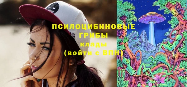дживик Алексеевка