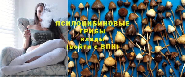 дживик Алексеевка