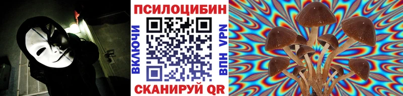 Галлюциногенные грибы GOLDEN TEACHER Андреаполь